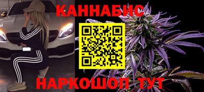 индика Будённовск