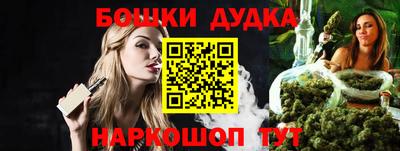 индика Будённовск