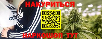 индика Будённовск